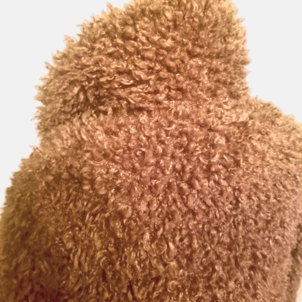 NWOT | ZARA OUTERWEAR | Warm Light Brown | Faux Fur Shearling Coat | Size: XS - Picture 3 of 16